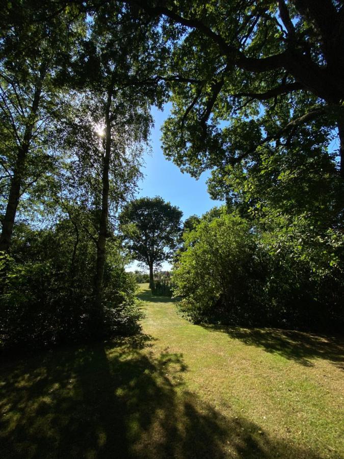 Appartement Duinweg Onstwedde Exteriör bild